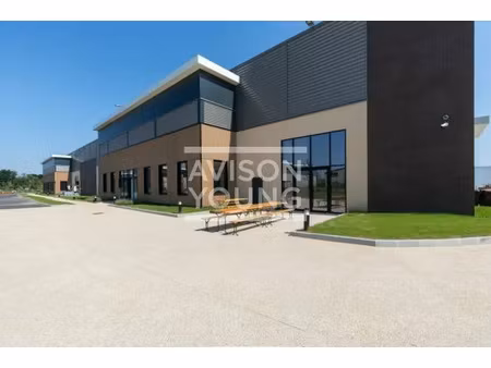 local d'activite a louer