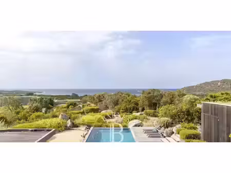 villa avec piscine en bord de mer pianottoli-caldarello (2a)
