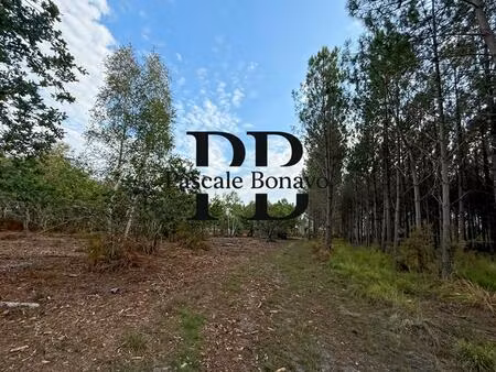 vendays -montalivet- terrain de loisirs 2770m2