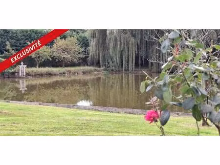 maison avec piscine et terrasse gy-en-sologne (41)