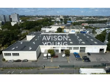 local d'activite a louer