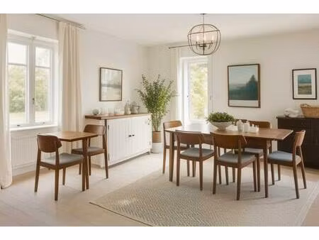 is-sur-tille maisons cadre verdoyant proche berges ignon