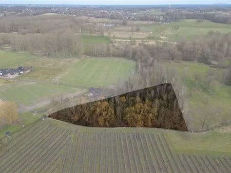 terrain à vendre à wimmertingen € 60.000 (l4eob) - immo top invest | zimmo