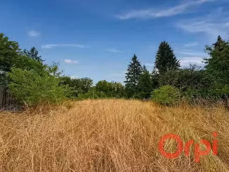 vente terrain 1000 m² à le pondy (18210)  15 000 €