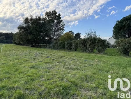 vente terrain 1769 m² à langeais (37130)  65 000 €