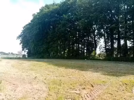 vente terrain 745 m² à criquetot-sur-ouville (76760)  67 000 €