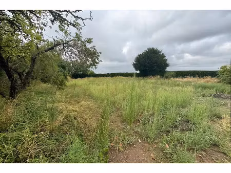 vente terrain 837 m² à fontaine-guérin (49250)  64 500 €