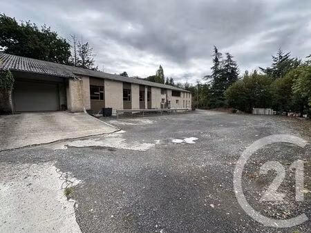 divers à vendre - 800 m2 - puygouzon - 81 - midi-pyrenees