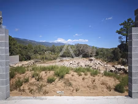 vente terrain 1117 m² à sotta (20146)  392 500 €