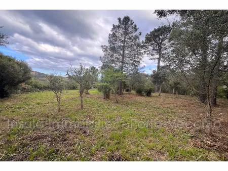 vente terrain 2462 m² à sainte lucie de porto vecchio (20144)  402 800 €