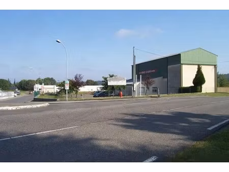 vente locaux professionnels 575 m² à pontacq (64530)  430 000 €
