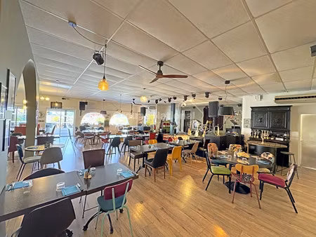 vente locaux professionnels 450 m² à mauguio (34130)  631 500 €