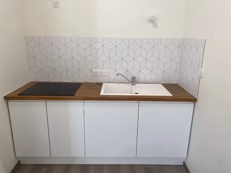 location appartement 1 pièce 29 m² à migennes (89400)  450 €