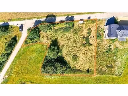 option option option