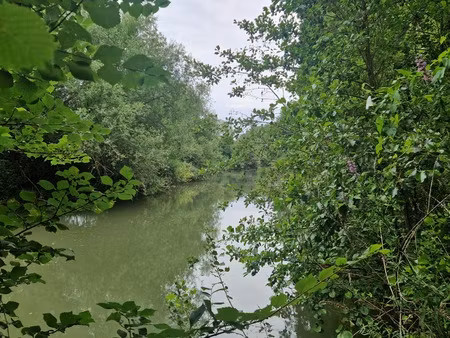 vente terrain en bord d huisne