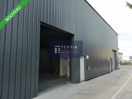 local d'activites a louer