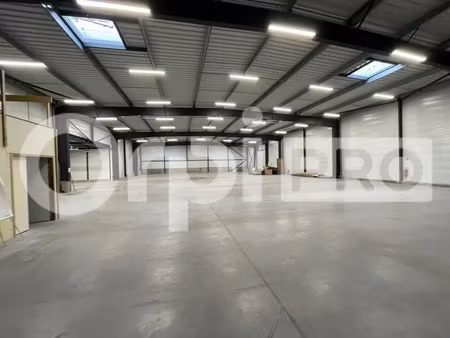 local d'activite a louer