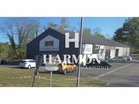 harmon à vendre : à vendre – local artisanal et industriel – bassin de lacq