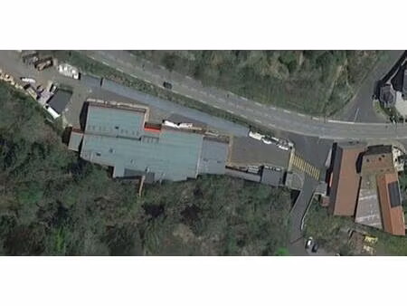 achat immeuble 1 170m² dunieres 43220