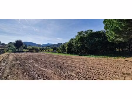 terrain plat constructible