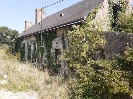 achat maison 3 pièces 77m² auverse 49490