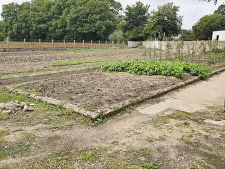 vente terrain à la chapelle-des-marais (44410) : à vendre / 1110m² la chapelle-des-marais