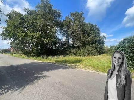 terrain à vendre à helchteren € 270.000 (l44ys) - immow | zimmo