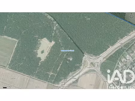 vente terrain à léguevin (31490) : à vendre / 200000m² léguevin