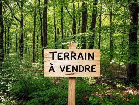 vente terrain 50544 m² à béganne (56350)  43 125 €