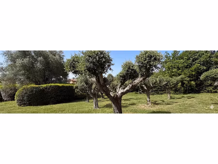 vente terrain à grimaud (83310)  958 000 €