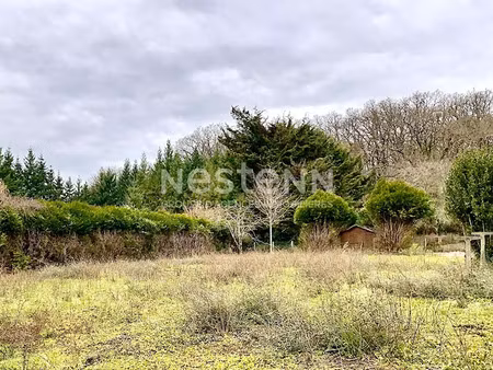 vente terrain 1116 m² à cellettes (41120)  76 500 €