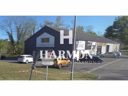 vente locaux professionnels 100 m² à mont (64300)  428 000 €