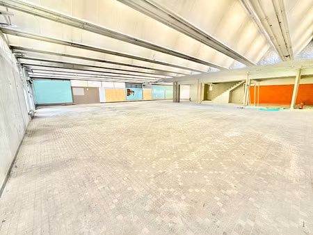 vente locaux professionnels 1158.45 m² à tarascon-sur-ariege (09400)  290 000 €