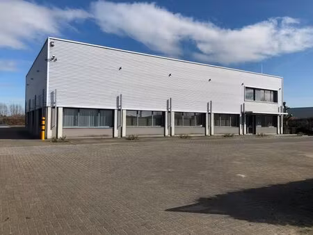 bâtiment industriel à vendre à hoogveld  à termonde