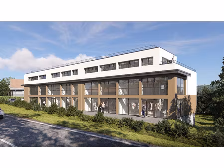 locaux commerciaux et professionnels neufs annecy nord 100 m