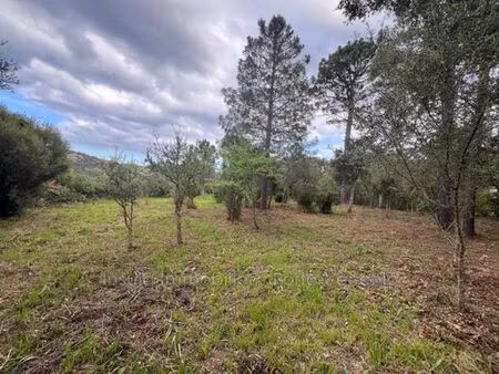 terrain de 2462 m2 en vente - sainte-lucie de porto-vecchio  france