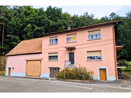 vente maison 7 pièces 176 m² à philippsbourg (57230)  160 000 €