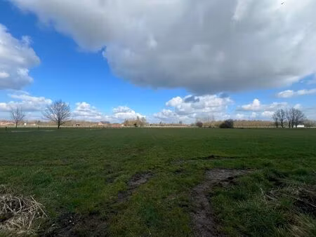 landbouwgrond te duffel