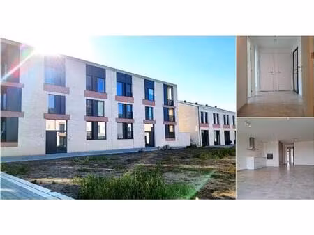 appartement à louer à zilverlaan 50 stene (rbu24676)