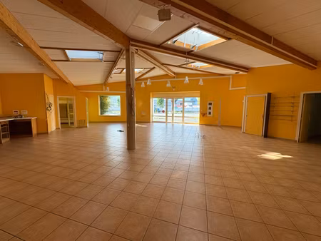 local commercial roanne 4 pièce(s) 165 m2