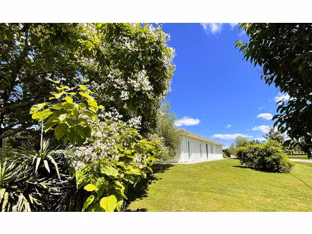 maison familiale au calme des vignes avec piscine  5 chambres et grand jardin arboré