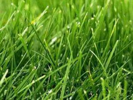 vente terrain à langourla (22330) : à vendre / 639m² langourla