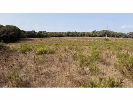 vente propriété 10 pièces 500 m² à bonifacio (20169)  1 700 000 €