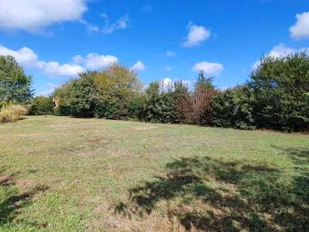 vente terrain à notre-dame-d'allençon (49380) : à vendre / notre-dame-d'allençon