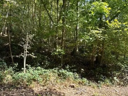 terrain à bâtir de 15a 98ca situé au bois cochet