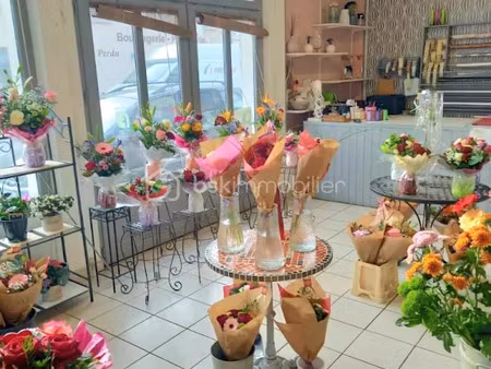 vente locaux professionnels à monnaie (37380)  55 000 €