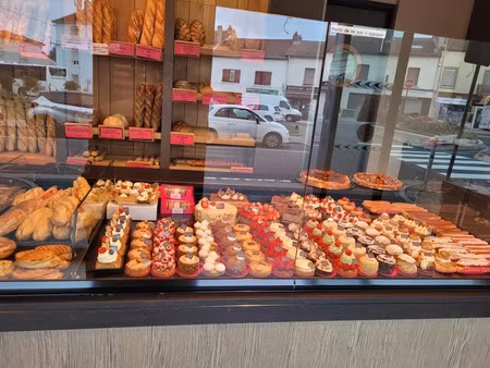 vente locaux professionnels 2 pièces 210 m² à dombasle-sur-meurthe (54110)  221 760 €