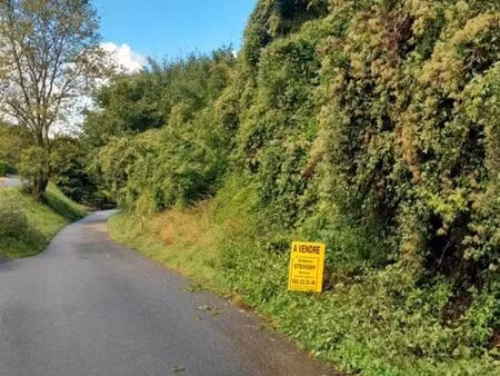 deux beaux terrains à bâtir