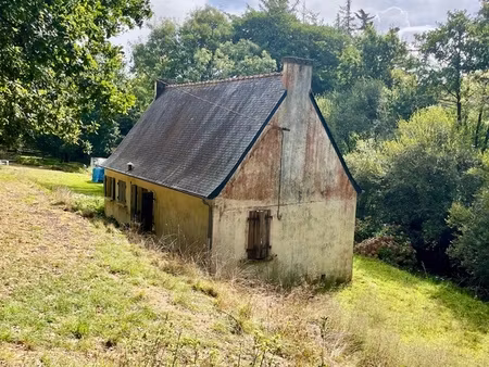 maison à vendre 2 pièces saint nic (29)