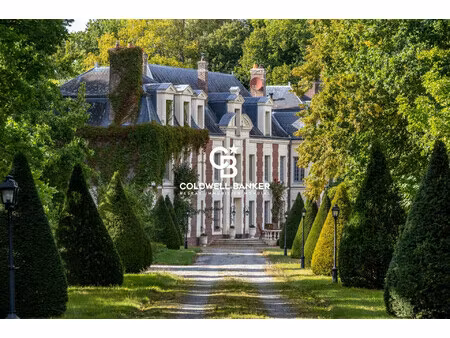 vente château 10 pièces